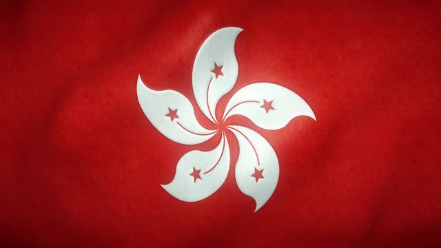 flag of Hong Kong waving in the wind