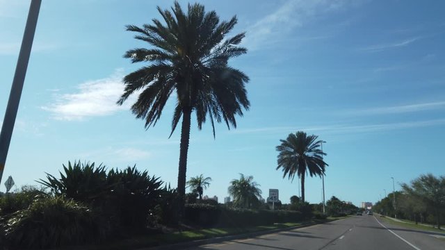 Driving Down Road Past Palm Trees Near Ocean On Bridge 