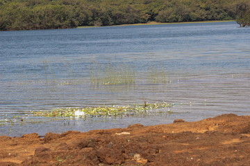 A Lake in Maharashtra - India