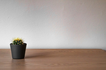 Small cactus in dark pot on the wooden table