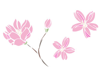 Fototapeta na wymiar 桜をモチーフにデザインした背景素材