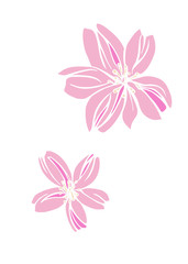 Plakat 桜をモチーフにデザインした背景素材