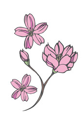Plakat 桜をモチーフにデザインした背景素材
