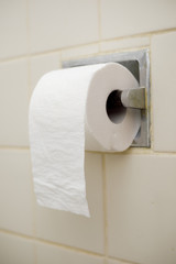 Roll of toilet paper