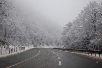 Snow on the road at winter. Trees covered with snow next to the road. Cestobrodica in Serbia.