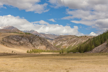 Fototapeta premium Summer View of Altai, Russia. Altai Republic is one of Russia's ethnic republics.