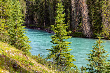 Canadian Rockies, Banff Natonal Parc, Glacier National Parc, Transcanada Hwy