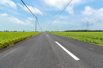 Asphalt road in rural and paddy farm with blue skies in Selangor, Malaysia