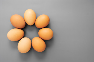 Raw eggs isolated on grey background, protein food. Copy spacy.
