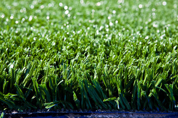 Care artificial lawn with sunny reflects