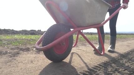 farmer girl red lifestyle neck works in dirt the field with a garden trolley in rubber boots. farmer eco farming farming harvesting concept. woman wheels a garden cart wheelbarrow across a field with