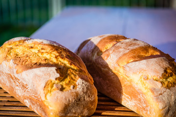 Two home madee bread loafs cooling in the early spring morning day.