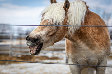Smile For The Camera