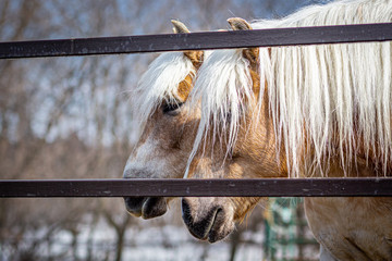 Being Two Is Always Better Than Alone