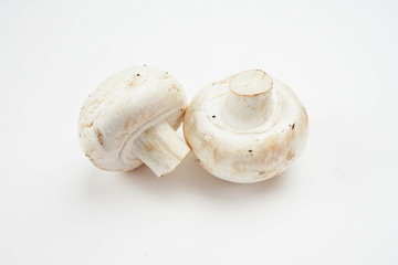 Mushrooms isolated on a light background