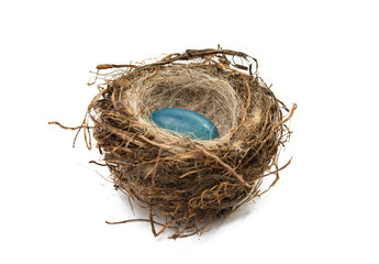 chocolate easter eggs in nest