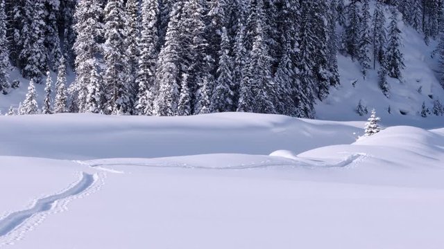 Expedition backcountry skier with pulk sled skis into frozen riverbed