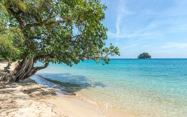 Beach with green tree and blue skies