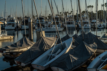 Obraz premium STERNS WHARF SANTA BARBARA