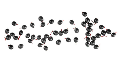 Black elderberry fruit isolated on a white background, top view. Elder berries.