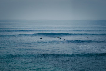 Surfers waiting for their turn in the lineup