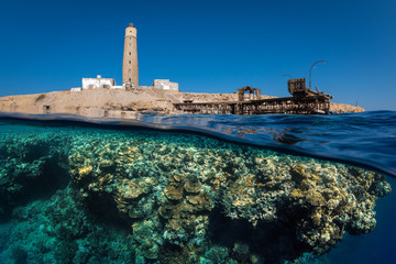 Korallen am Big Brother Riff im Roten Meer in Ägypten