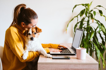 young woman working on laptop at home,cute small dog besides. work from home, stay safe during...