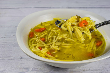chicken noodle soup