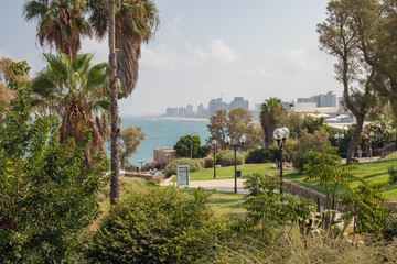 View of Tel Aviv, Israel and the Mediterranean Sea Through the Trees in Abrasha Park, Old Jaffa