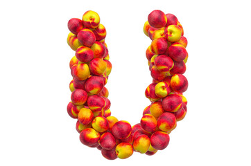 Letter U from nectarines or peaches, 3D rendering