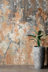 Green plant in a pot on a concrete, textured, texture background. Art plaster, rusty wall with stains. - 334284515