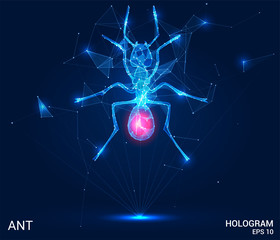 The ant hologram. An ant made up of polygons, triangles, points, and lines. Ant low-poly compound structure. The technology concept.