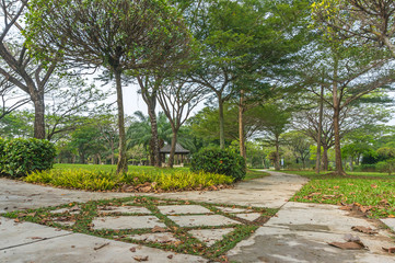 Jogging track at green garden