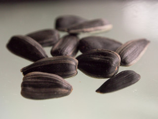 Abstract photo, sunflower seeds close-up, on a gray background. Macro photo on a gray, isolated background.