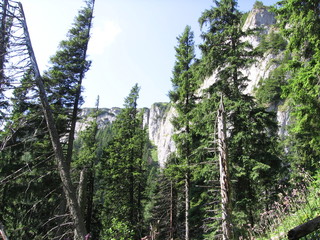 Fototapeta premium Montagna