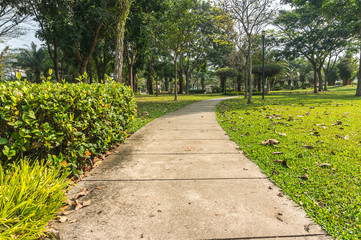 Jogging track at green garden