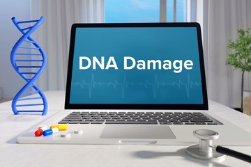 DNA Damage – Medicine/health. Computer in the office with term on the screen. Science/healthcare