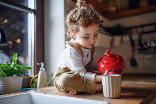 Cute small toddler girl sitting on kitchen counter indoors at home, pouring tea.