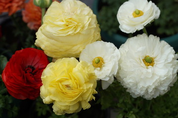 bouquet of yellow roses