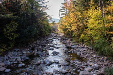 river in the autumn forest