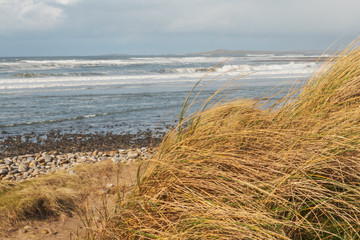 View on Atlantic ocean from dunes. Strandhill beach, county Sligo, Ireland, Yellow grass blue water and cloudy sky.
