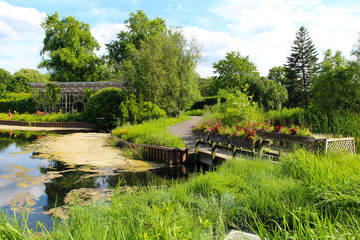 Blooming flowers in the botanical garden at summer.