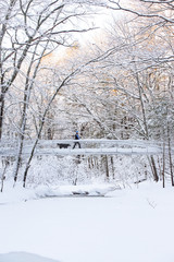 snow covered bridge in winter over a river with girl and dog hiking