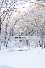 snow covered bridge in winter over a river with girl and dog hiking