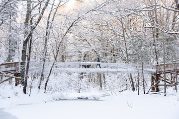snow covered bridge in winter with girl and dog