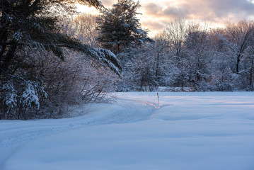 winter path with trees and snow sunset