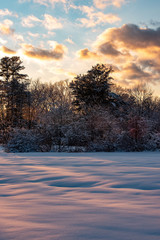 sunset in the snow forest