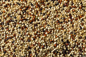 Raw Tricolor Organic Quinoa Kernals