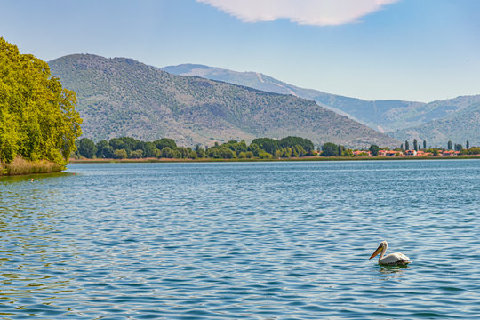 Lake Orestiada Or Lake Of Kastoria Is A Lake In The Kastoria Regional Unit Of Macedonia, Northwestern Greece.