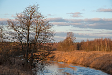 Obraz na płótnie Canvas trees near the river under the spring sun